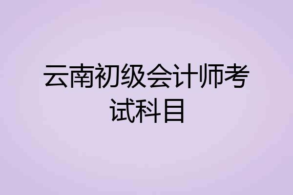 云南初级会计师考试科目