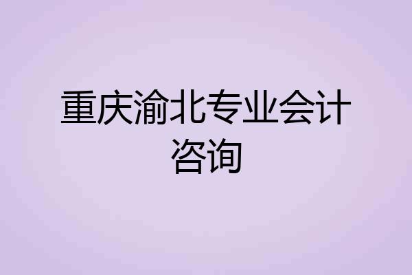 重庆渝北专业会计咨询