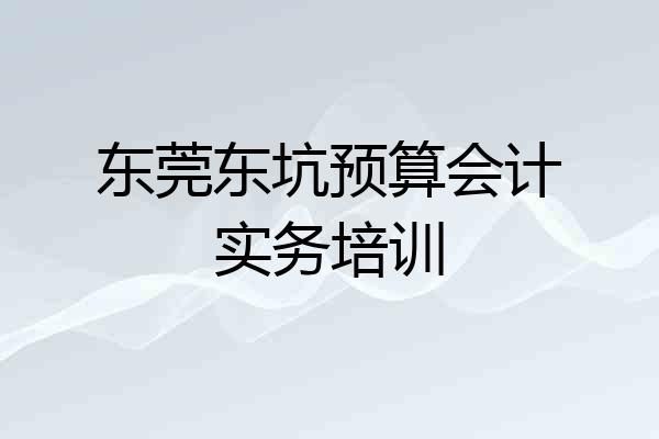 东莞东坑预算会计实务培训