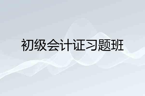初级会计证习题班