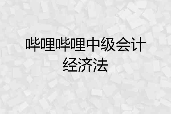 哔哩哔哩中级会计经济法