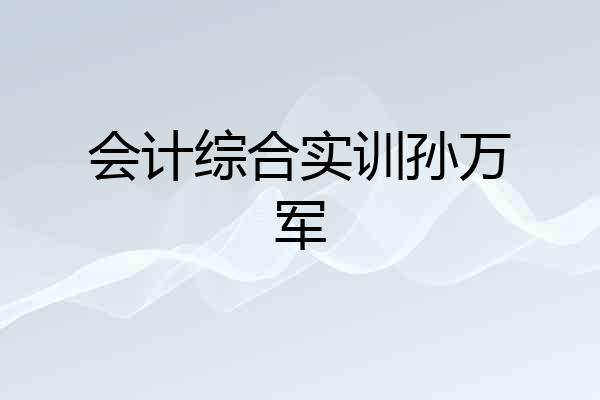 会计综合实训孙万军