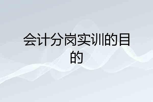 会计分岗实训的目的
