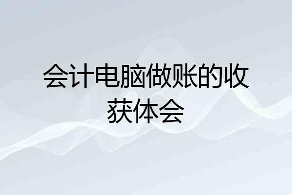 会计电脑做账的收获体会