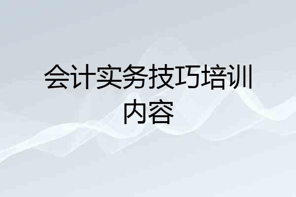 会计实务技巧培训内容