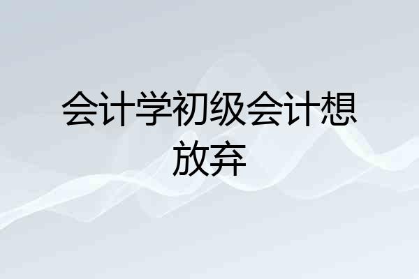 会计学初级会计想放弃
