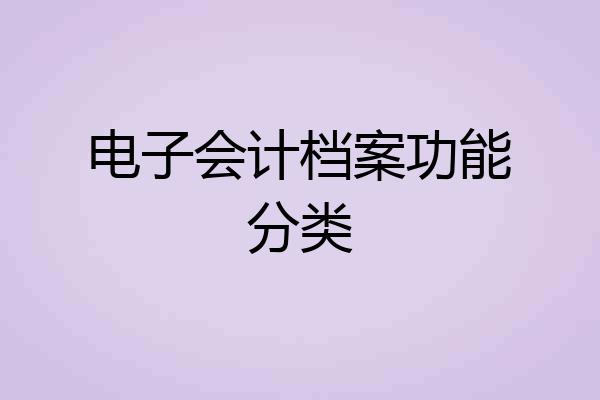 电子会计档案功能分类