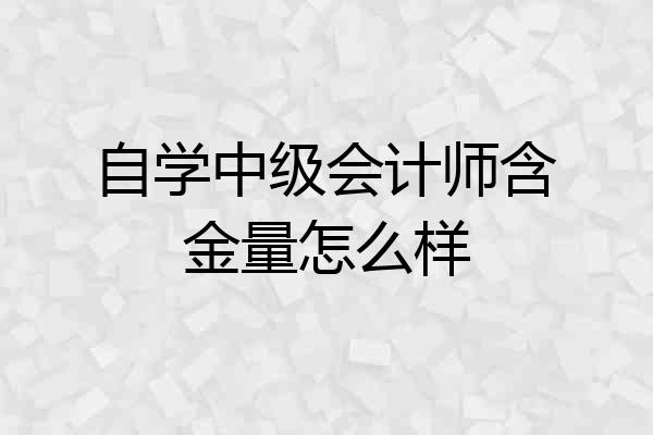 自学中级会计师含金量怎么样