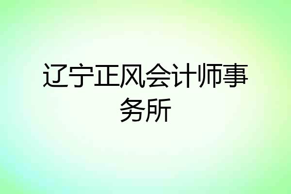 辽宁正风会计师事务所