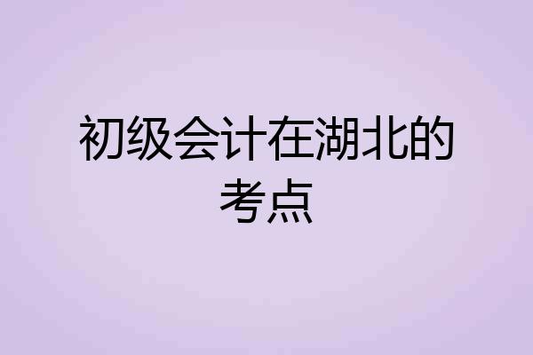 初级会计在湖北的考点