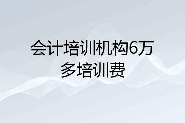 会计培训机构6万多培训费