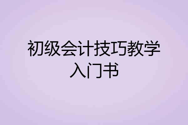 初级会计技巧教学入门书