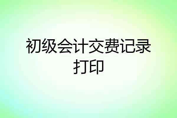 初级会计交费记录打印
