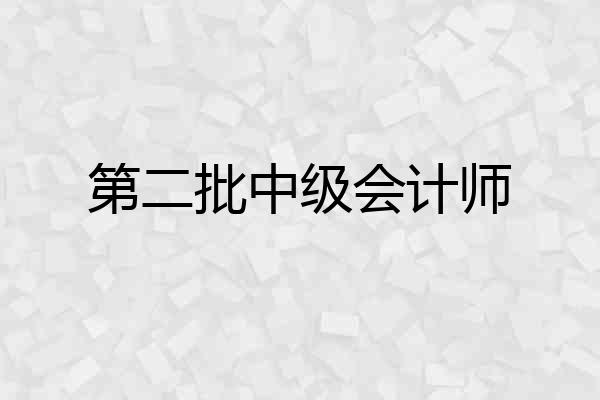 第二批中级会计师