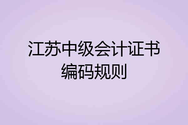 江苏中级会计证书编码规则