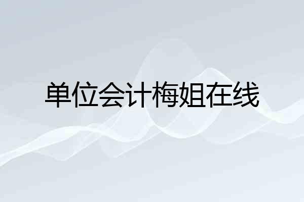 单位会计梅姐在线
