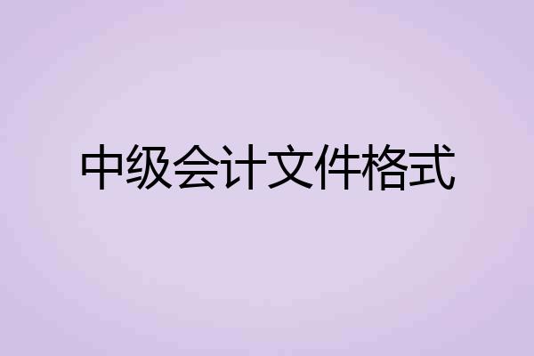 中级会计文件格式
