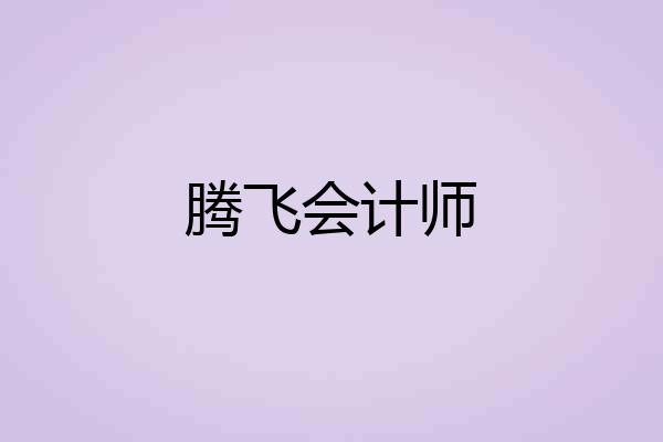 腾飞会计师