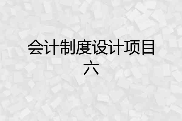 会计制度设计项目六