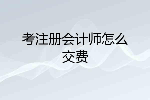 考注册会计师怎么交费