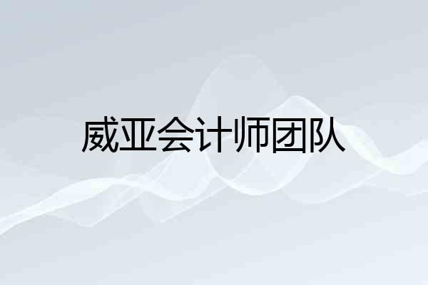 威亚会计师团队