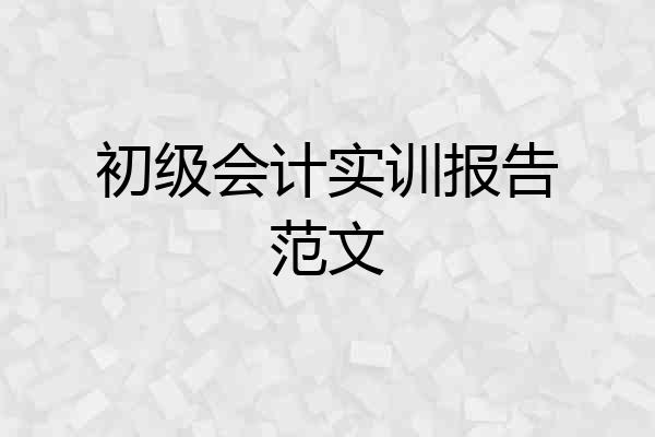 初级会计实训报告范文