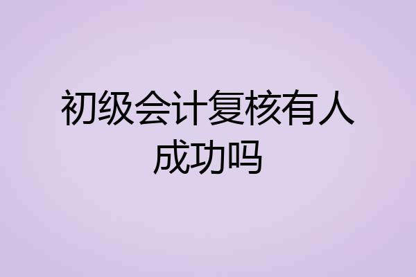 初级会计复核有人成功吗