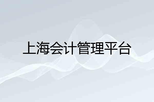上海会计管理平台