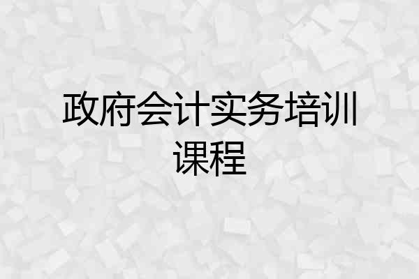 政府会计实务培训课程