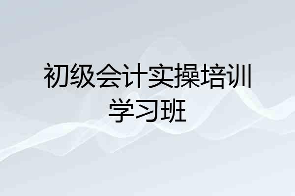 初级会计实操培训学习班