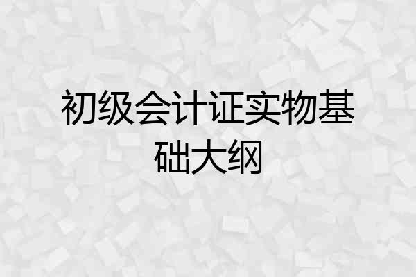 初级会计证实物基础大纲