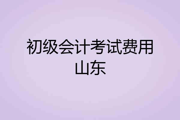 初级会计考试费用山东