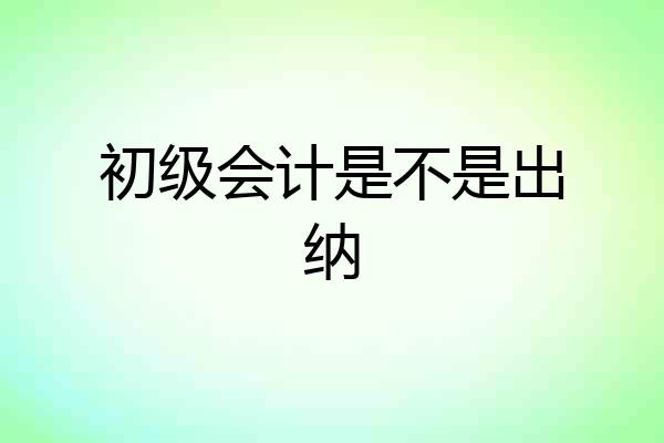 初级会计是不是出纳
