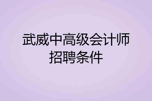 武威中高级会计师招聘条件