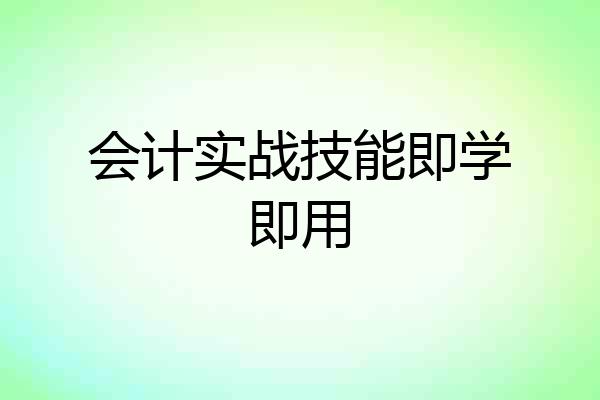 会计实战技能即学即用