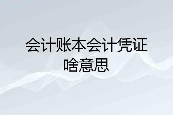 会计账本会计凭证啥意思
