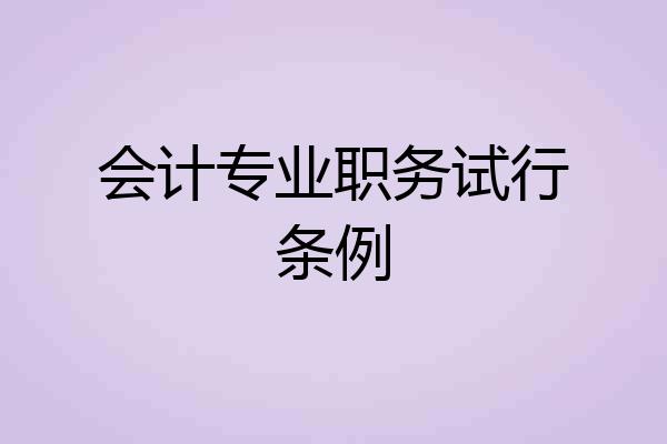 会计专业职务试行条例