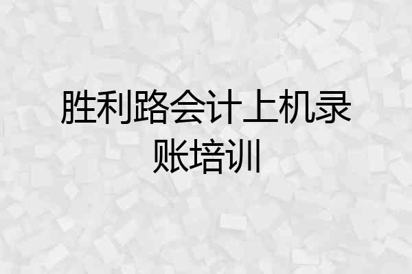 胜利路会计上机录账培训