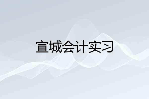 宣城会计实习