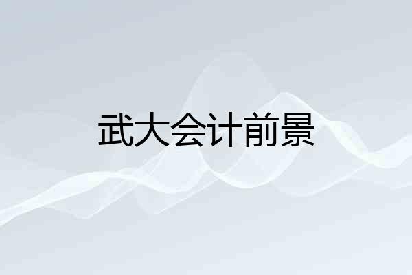 武大会计前景