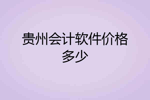 贵州会计软件价格多少