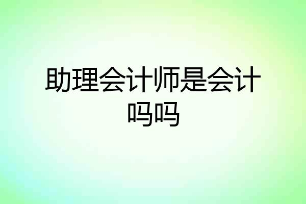 助理会计师是会计吗吗