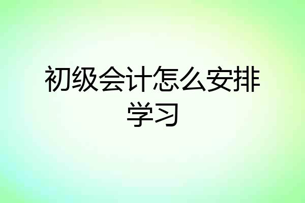 初级会计怎么安排学习