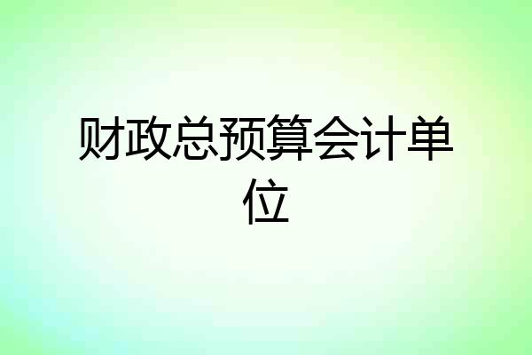 财政总预算会计单位