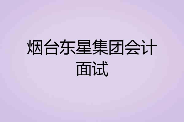 烟台东星集团会计面试