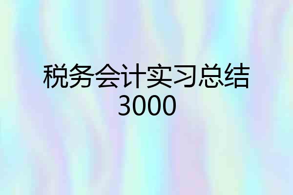 税务会计实习总结3000