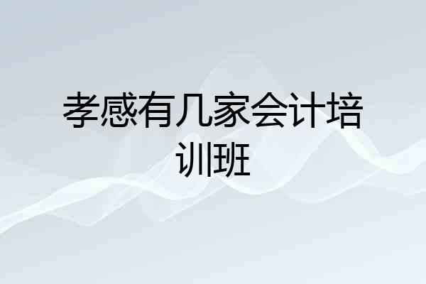孝感有几家会计培训班