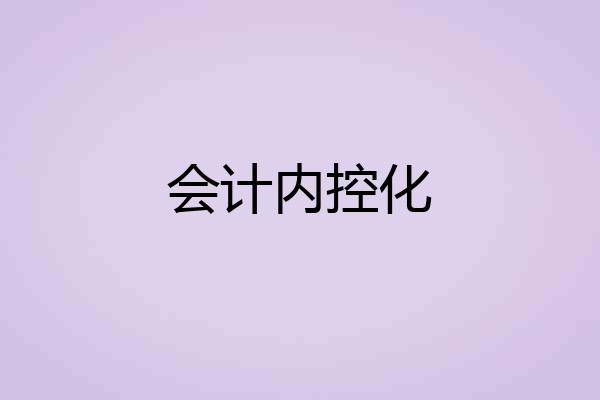 会计内控化