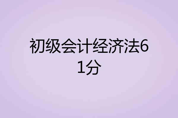 初级会计经济法61分