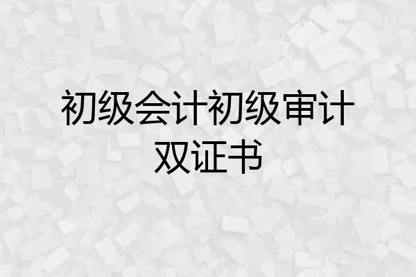 初级会计初级审计双证书